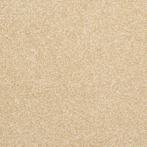 Beacon Hill by Masland — Carpet flooring · Canadian Flooring & Renovations Vancouver