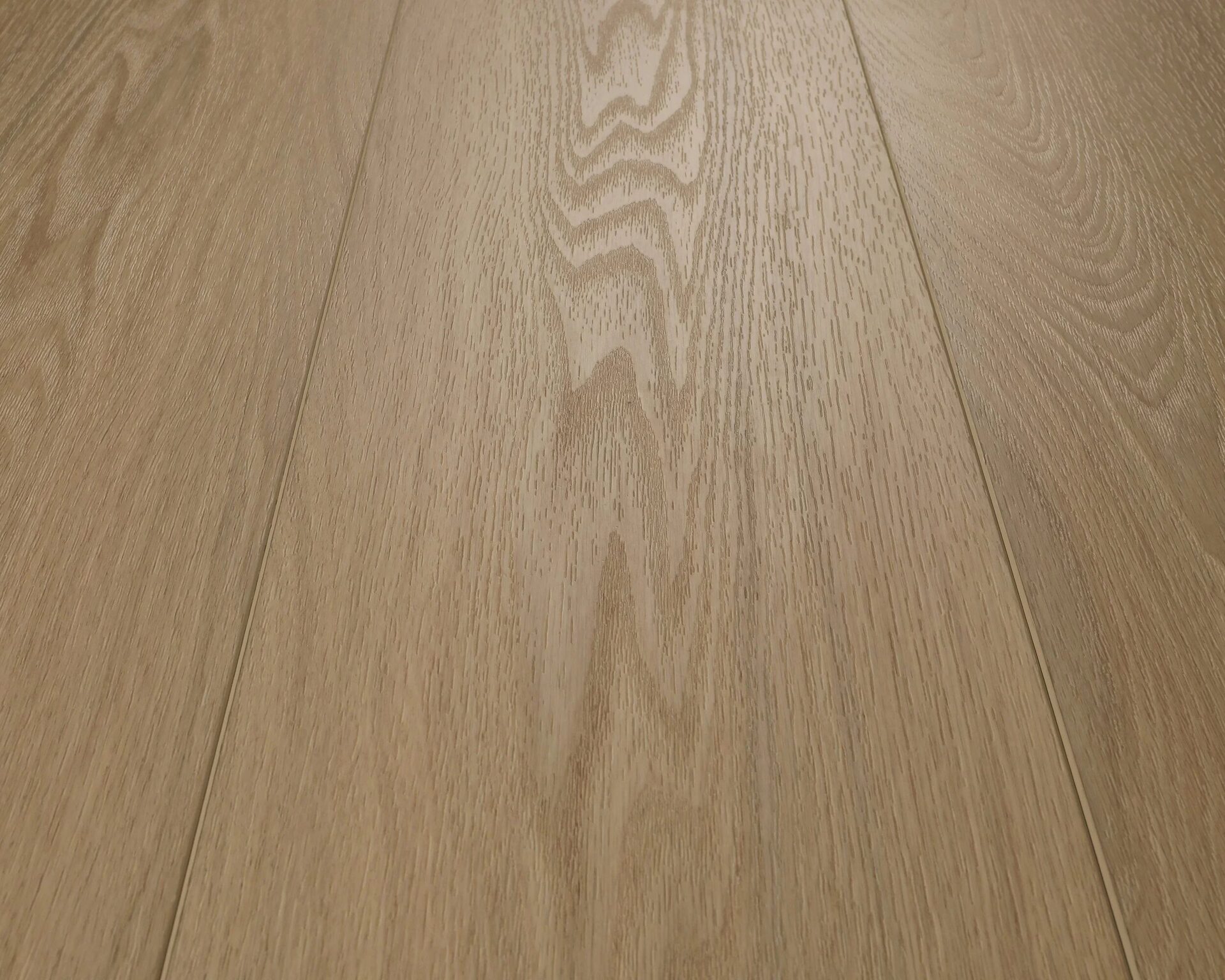 D1504 Sunlit Pine — Monterey