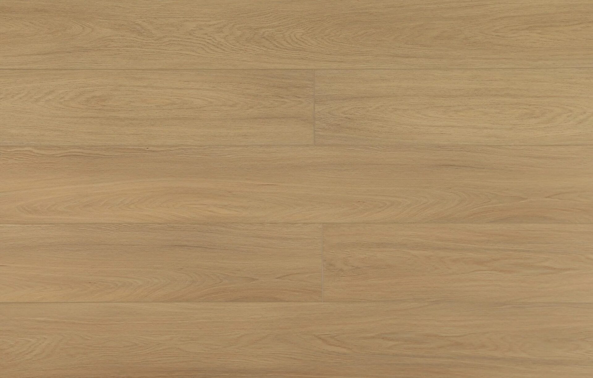D1504 Sunlit Pine — Monterey