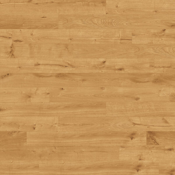 Cattail Oak — Richmond