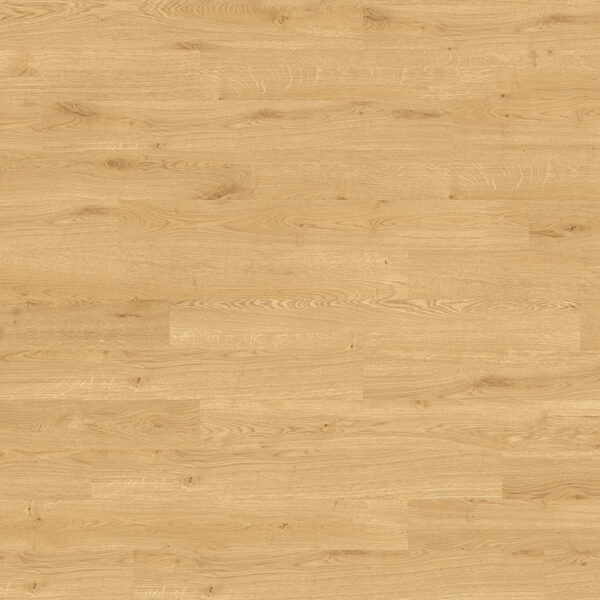 Seasand Oak — Richmond