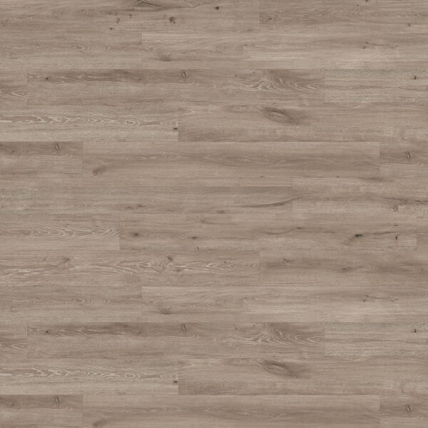 Olympic White Oak — Richmond