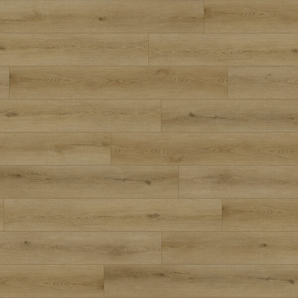 Macadamia — Richmond