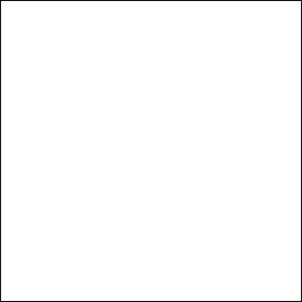 Super White 12”x24” Matte/Mat — Richmond