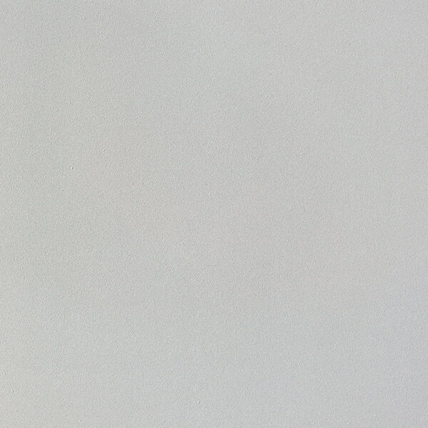 Light Grey 12”x24” Matte/Mat — Richmond