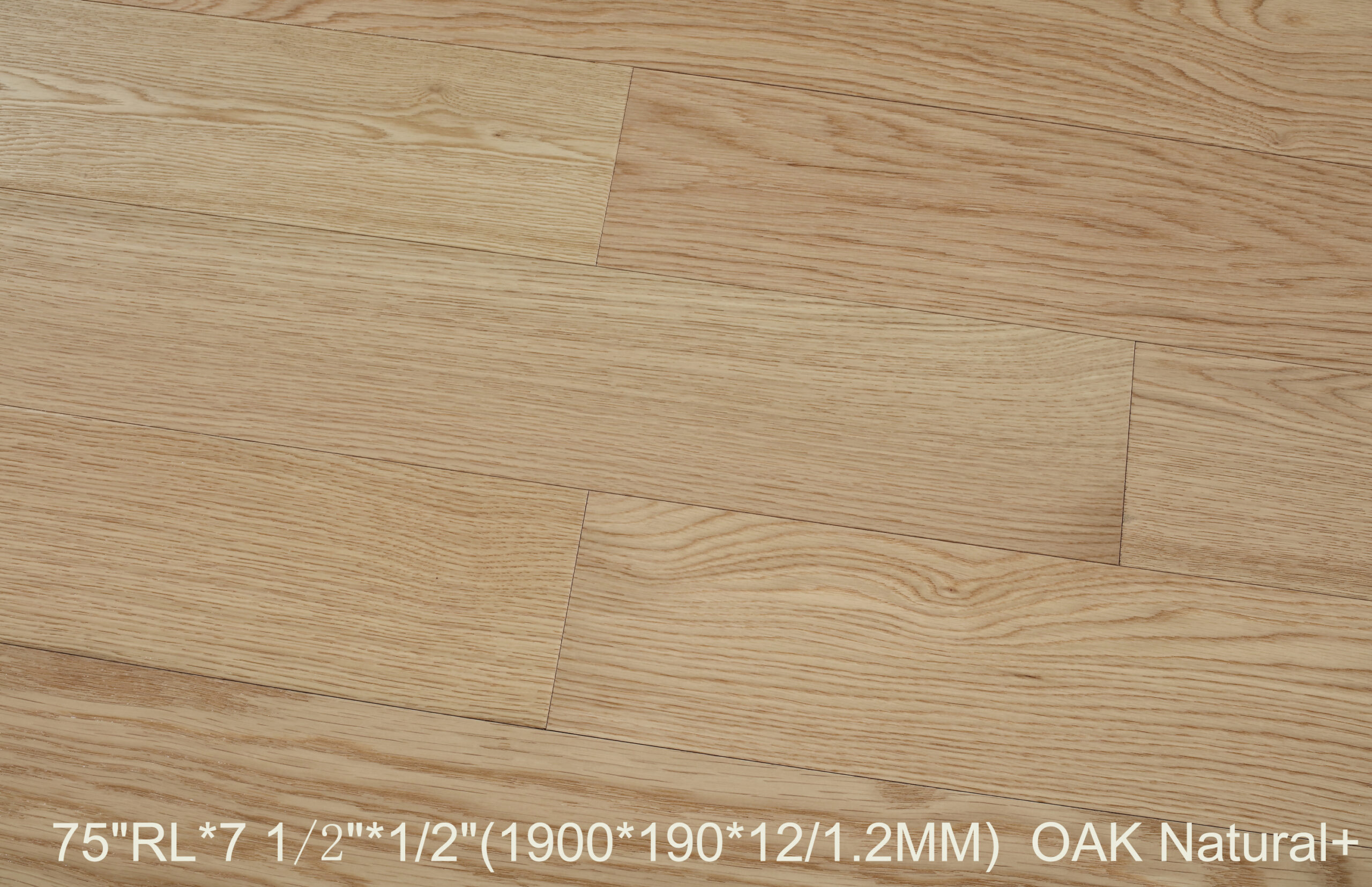 Oak Natural + — Simba Flooring
