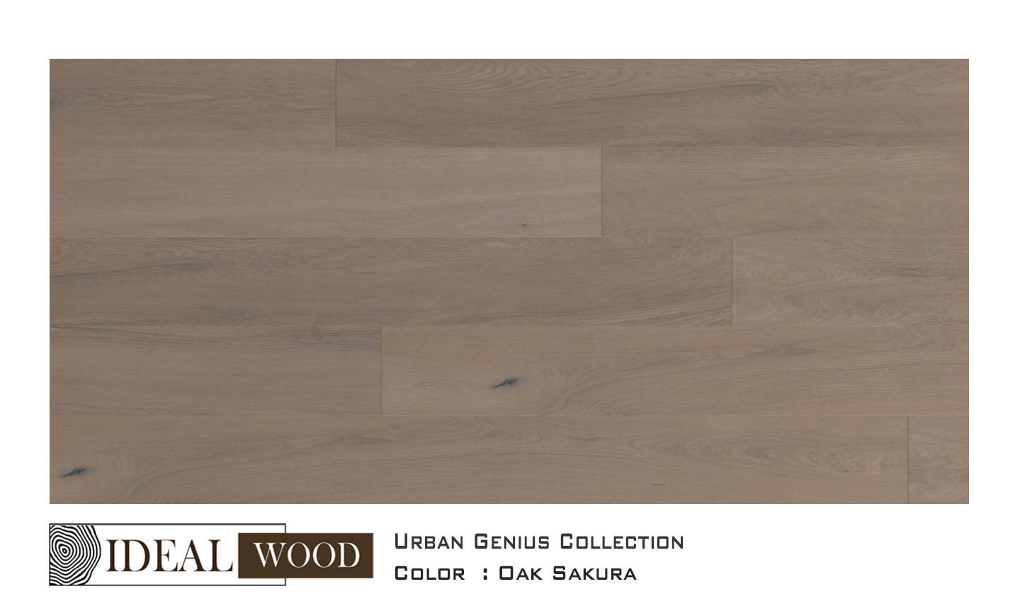22J06 Oak, Sakura — Unifloor