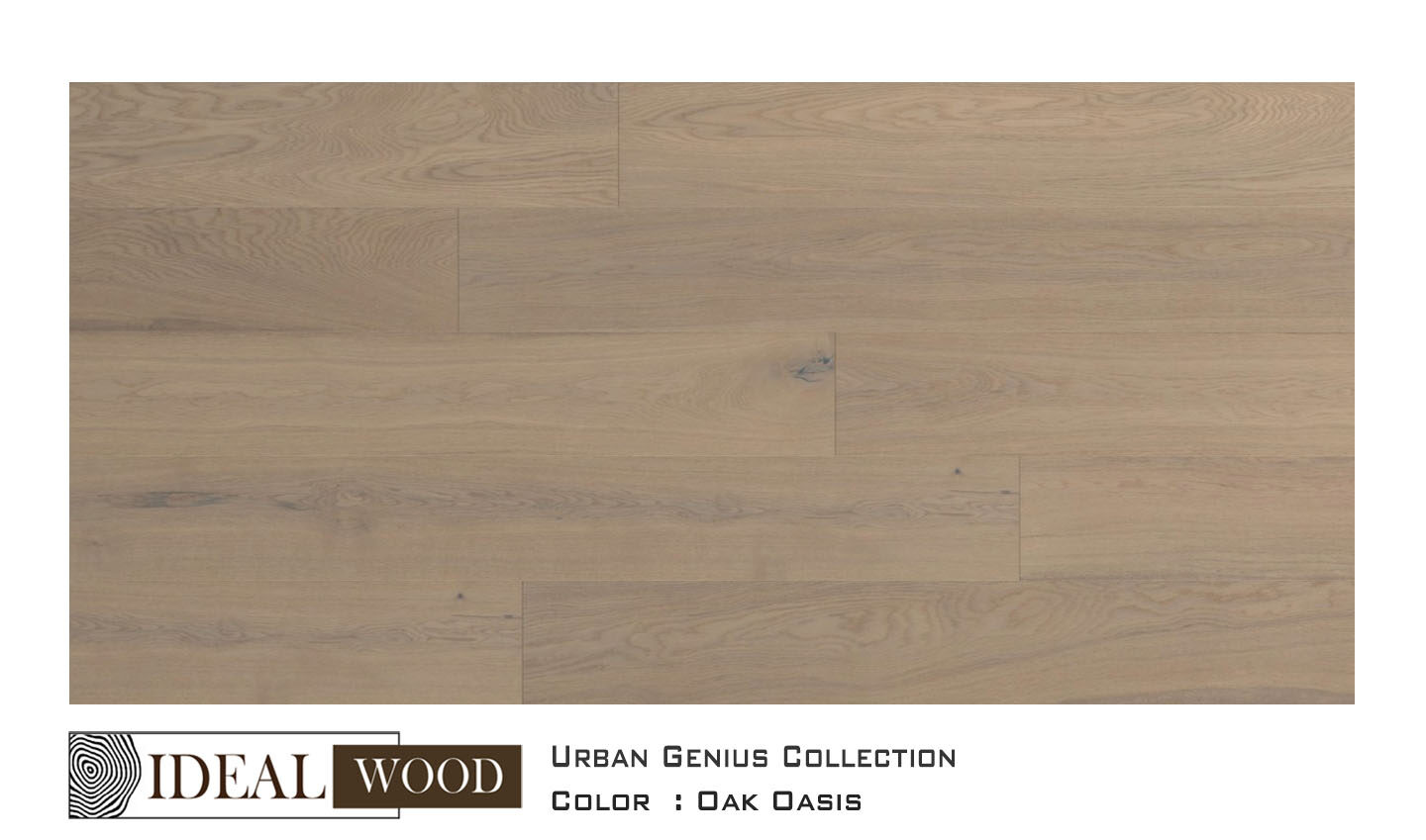 22J10 Oak, Oasis — Unifloor
