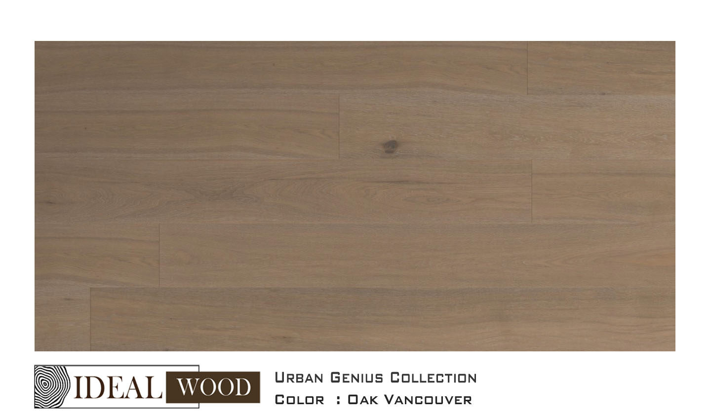 22J19 European Walnut — Unifloor