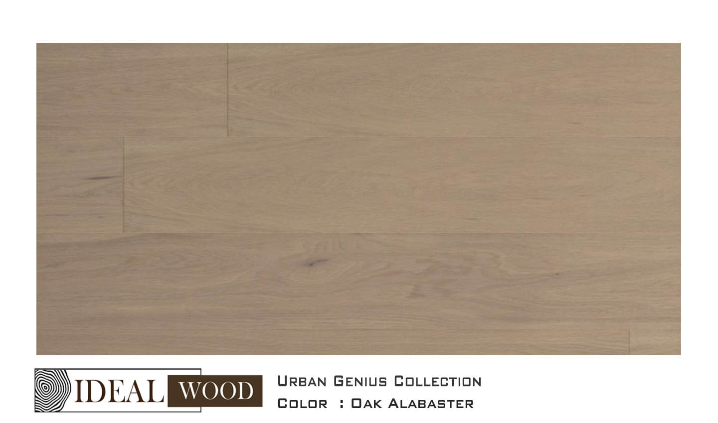 22J31 Oak, Alabaster — Unifloor