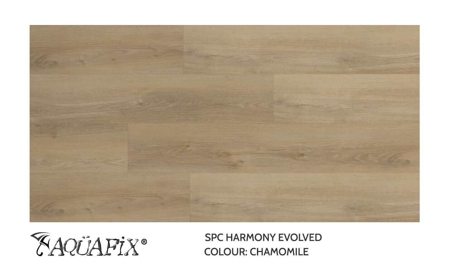 EC81104 Chamomile — Unifloor