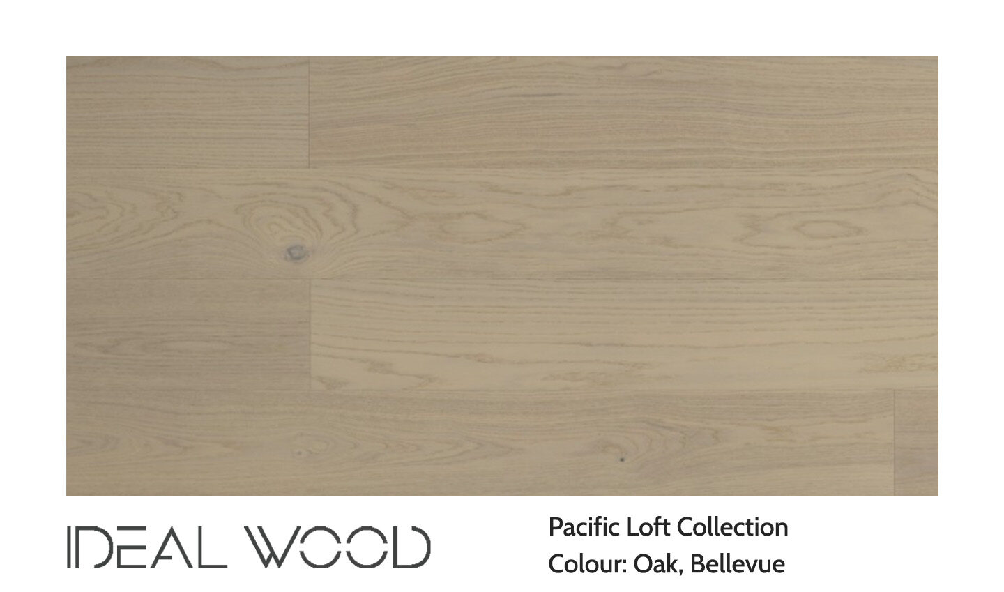 MT8142 Oak, Bellevue — Unifloor